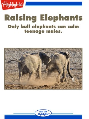 cover image of Raising Elephants